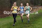 Senior and veteran womens Durham Cathedral Cross Country Relays, Maiden Castle, Durham. Photo: David T. Hewitson/Sports for All Pics